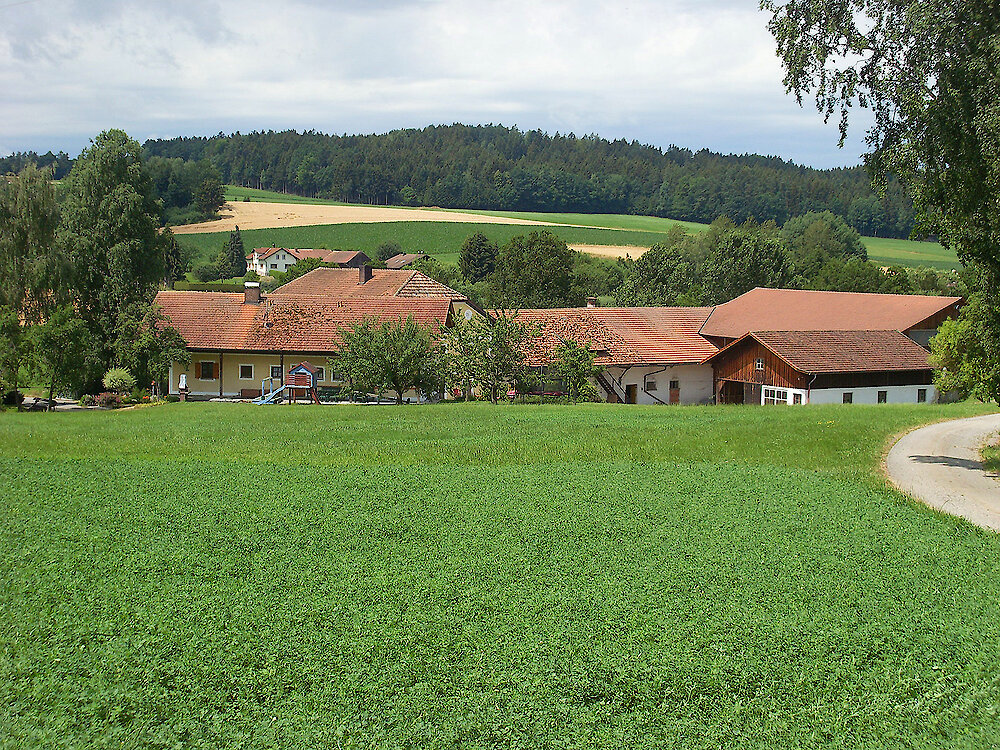 Ferienhof Pflaumermühle